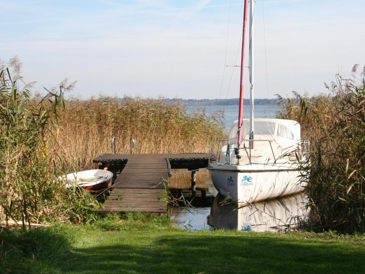 Ilonas Seeblick Lägenhet Plau am See Exteriör bild