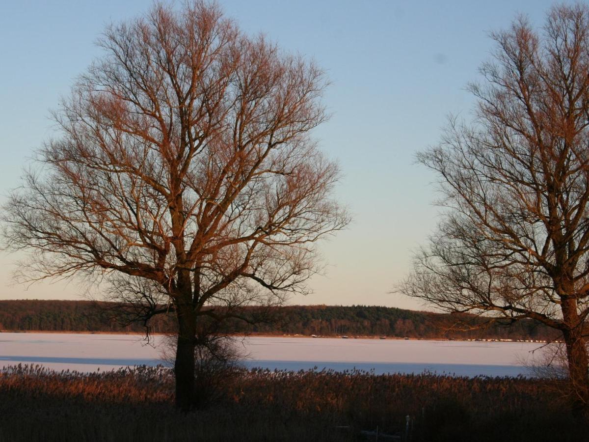 Ilonas Seeblick Lägenhet Plau am See Exteriör bild